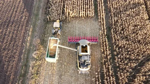 The combine unloads the crop Video stock 165629821