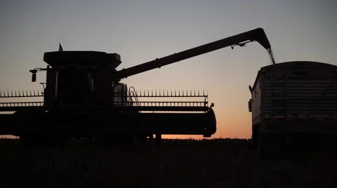 Combine Unloads into Semi at Sunset Vídeo Stock 58273628