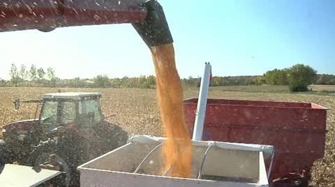 Combine Uploading corn Vidéo 12282932