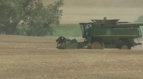 Combine View from Grain Cart Stock Footage 35575281