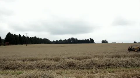 Combine wheat crossing screen left to rght wide 스톡 동영상 19220228