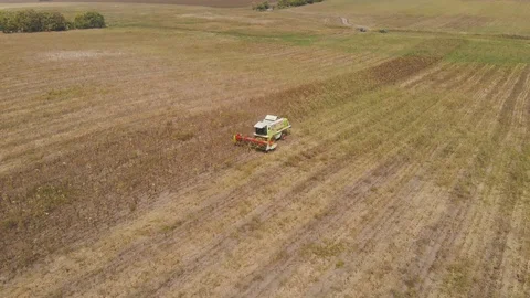 Combine working in field Stock Footage 95937192