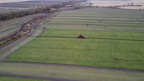 The combine is working in the field Stock Footage 163933393