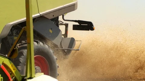 Combine Working In The Field. Take Off The Waste Of The Harvest From The Back Of Stock Footage 107419442
