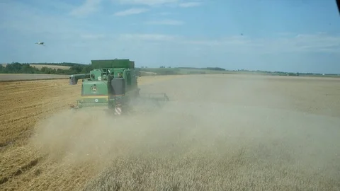 Combine working at wheat field, harvesting wheat. Stock Footage 123733123