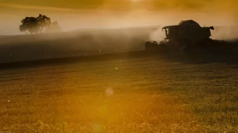 Combine working on a wheat field time lapse at dawn Stock Footage 41149468
