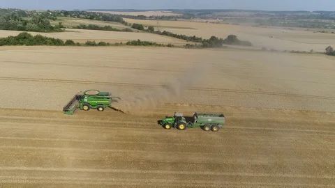 The combine works in the field, the view from the side Stock Footage 81946365