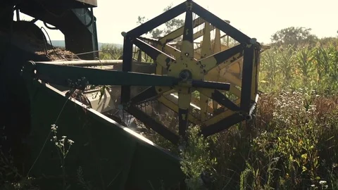 The combine works on the field of wheat Vídeo Stock 78260086