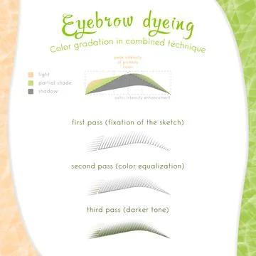 Combined eyebrow dyeing technique Stock Illustration