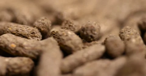 Combined food with the necessary useful elements for rodents, mixed food for Video stock 278606393