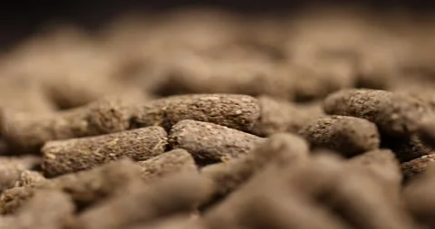 Combined food with the necessary useful elements for rodents, mixed food for Video stock 279497093