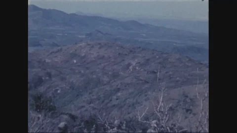 Combined forces moving thru dense jungle - 1970 Stock Footage 98989109