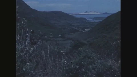 Combined forces moving thru dense jungle - 1970 Stock Footage 98989125