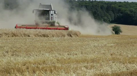 Combined Harvester 스톡 동영상 11686680