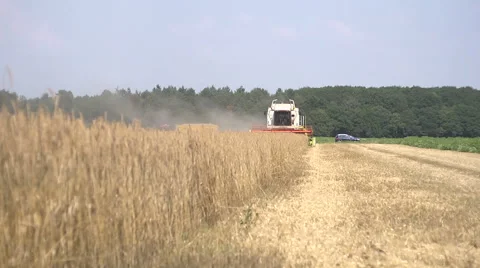 Combiner harvesting front far Stock Footage 40750533