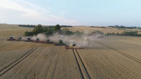 Combines begin to work in the field Stock Footage 82013662