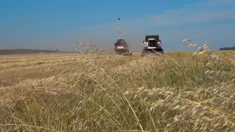 Combines the cleaning field Stock Footage 114411922
