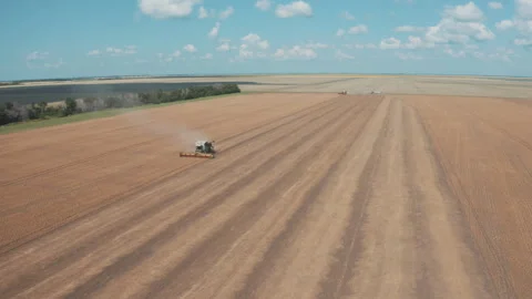 Combines on endless farmland Stock Footage 247753186