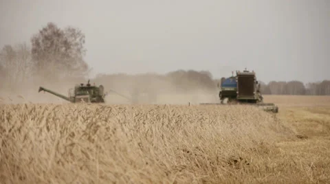 Combines on the field 3 Stock Footage 31957444
