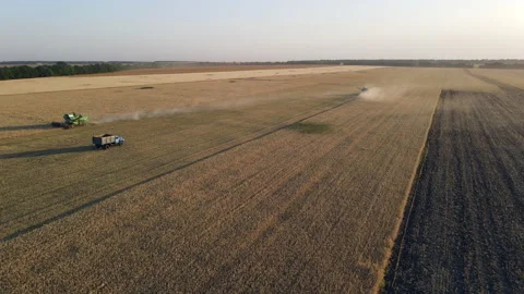 Combines on the field for during the harvest of wheat in Ukraine Stock Footage 134389917