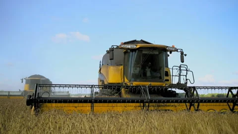 Combines in the field harvest Video stock 93149694