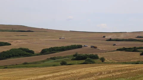 Combines harvesting and loading trucks on the fields Stock Footage 140099238