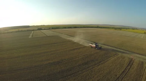 Combines harvesting Video stock 63619534