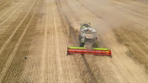 The combines harvesting the wheat field Stock Footage 247354440