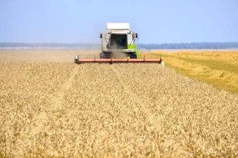 Combines mow wheat Stock Photos