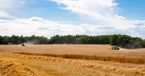 Combines at work in field during wheat harvesting Stock Photos
