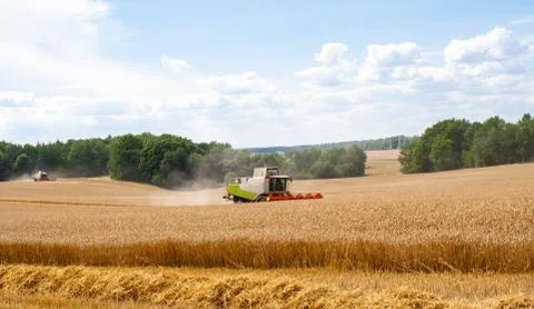 Combines at work in field during wheat harvesting Stock Photos
