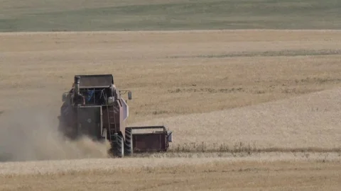 Combines work in the fields Stock Footage 113994700