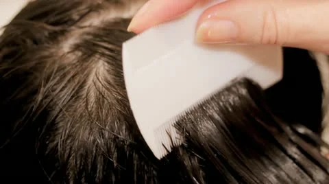 Combing for Headlice 스톡 동영상 11894309