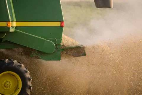Combing Wheat Stock Photos