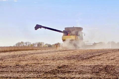 Combining Beans in the Dust Stock Photos