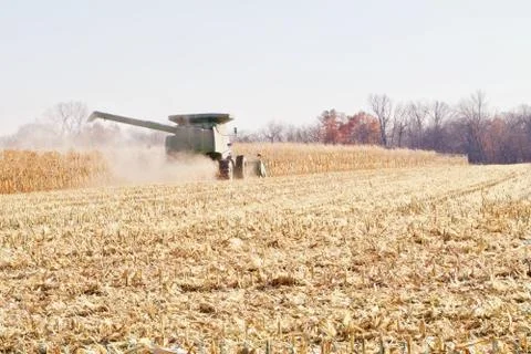 Combining Corn in the Dust Stock Photos