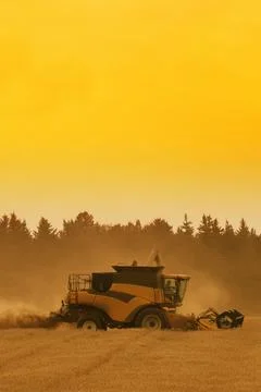 Combining Field Stock Photos