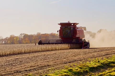 Combining soy beans Stock Photos