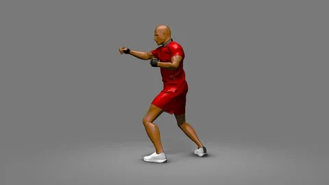 Combo Panch Left View Stock Footage 122618636