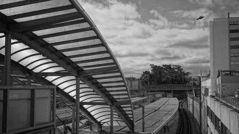 Comboio, train, black and white, Sintra, station, railroad, linha 库存照片