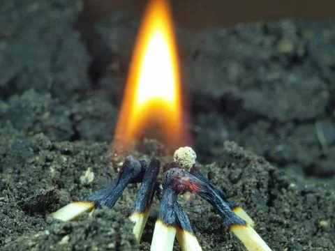 Combustion, fire. Burning match lying on the ground Stock Photos