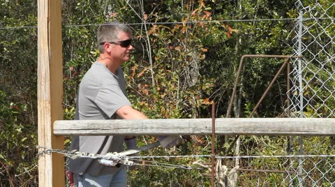 Come Along Stock Footage 1098974