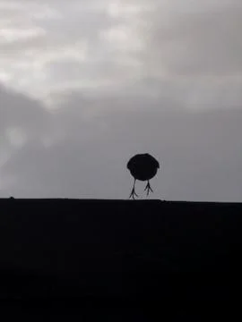 Come back Fotos de archivo