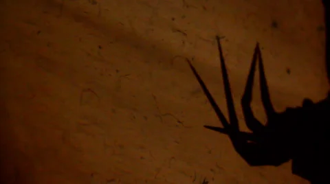 Come to Daddy Stock Footage 33046943