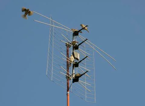 Come on, get in! Stock Photos