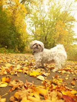 Come on,lets go Stock Photos