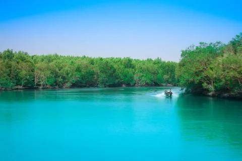 Comeback Home 写真素材