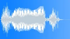 COMEDY, HORNSound Effect