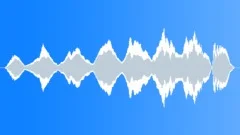 COMEDY,WHISTLESound Effect