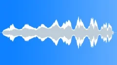 COMEDY,WHISTLESound Effect